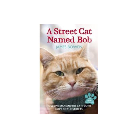 A Street cat Named bob : how one man and his cat Found Hope on the Streets