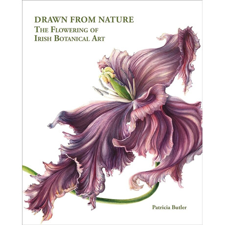 Drawn From Nature : the Flowering of Irish Botanical art