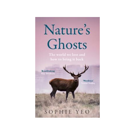 Nature’s Ghosts