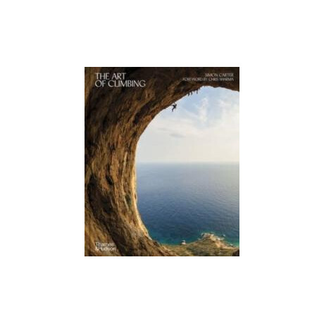 Art of Climbing