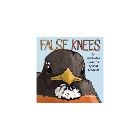 False Knees