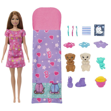 Mattel Barbie: Puppy Slumber Party Doll (Hxn01)