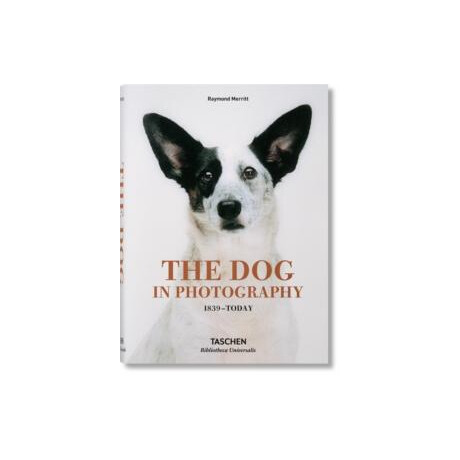 Dog in Photography 1839–today