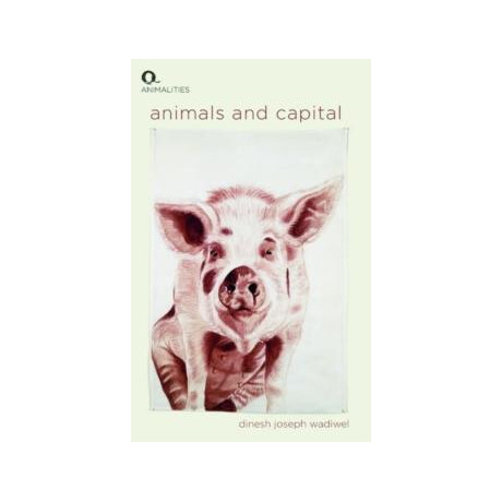 Animals and Capital