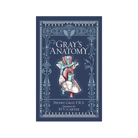 Gray's Anatomy (Barnes & Noble Collectible Editions)