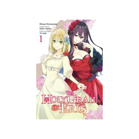 Holy Grail of Eris, Vol. 1 (Manga)