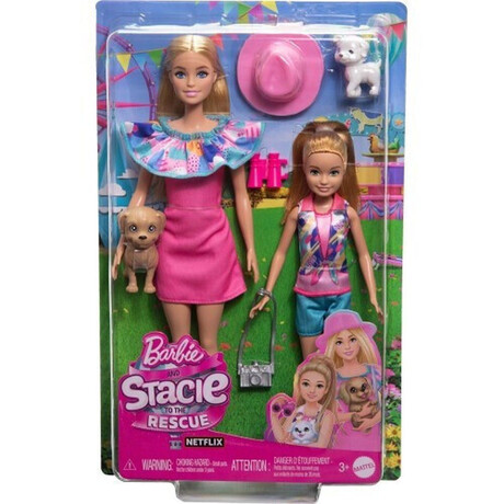 Mattel Barbie® Doll and Accessories (Hrm09)