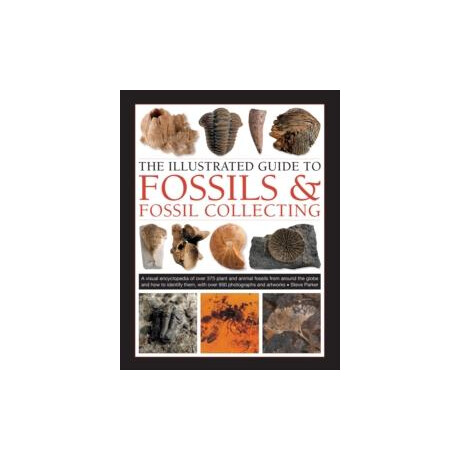 Fossils & Fossil Collecting, the Illustrated Guide to