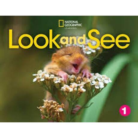 Look and see Level 1 ame Flashcards