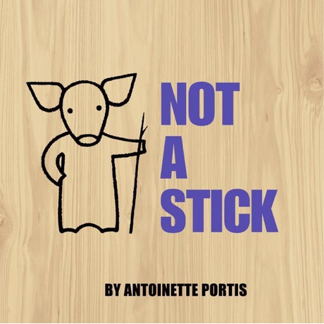 Not a Stick hc
