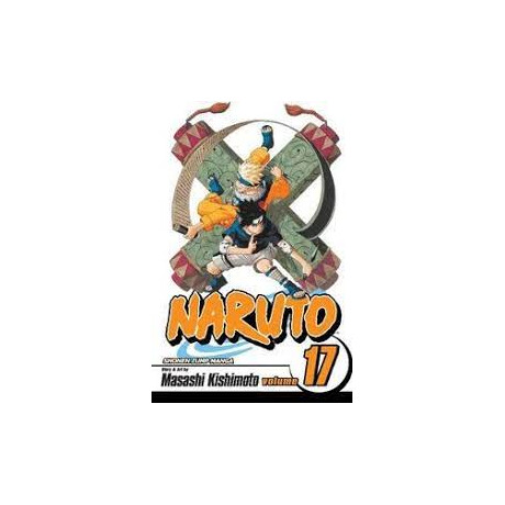 Naruto, Vol. 17