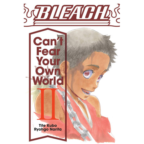 Bleach :cant Fear Your own World Vol.2