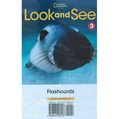 Look and see Level 3 ame Flashcards