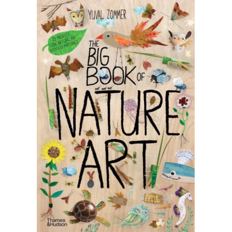 The big Book of Nature art hc