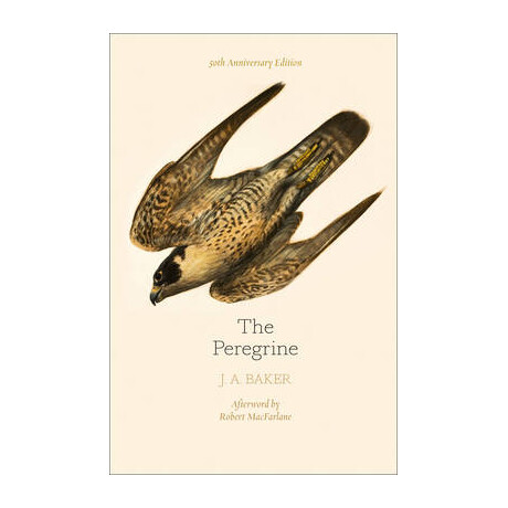 The Peregrine hc