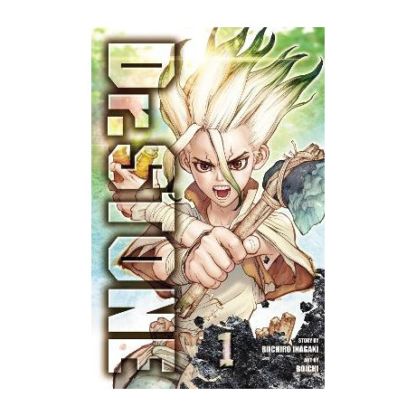 Dr. Stone, Vol. 01 pa