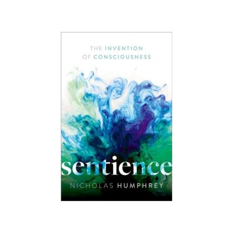 Sentience: the Invention of Consciousness