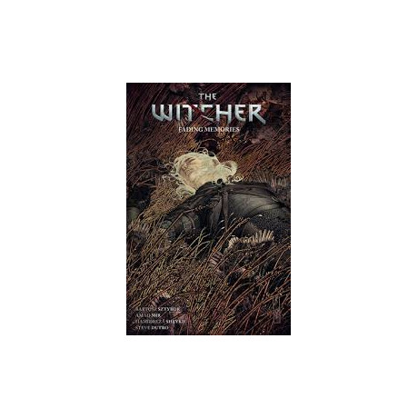 Witcher Volume 5: Fading Memories, the