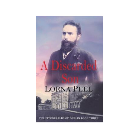 The Fitgeralds of Dublin (3): a Discarded son