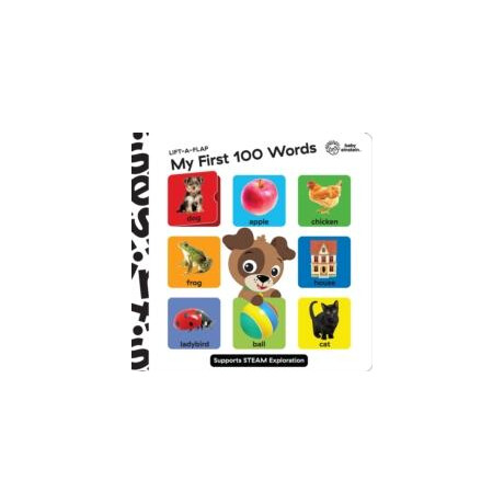 Baby Einstein Lift a Flap my First 100 Words Novelty Board Book