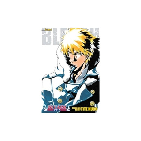 Bleach: 3-in-1 ed v17 pa