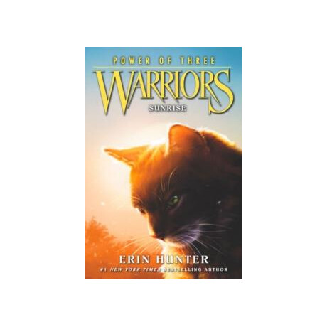 Warriors: Power of Three (6): Sunrise
