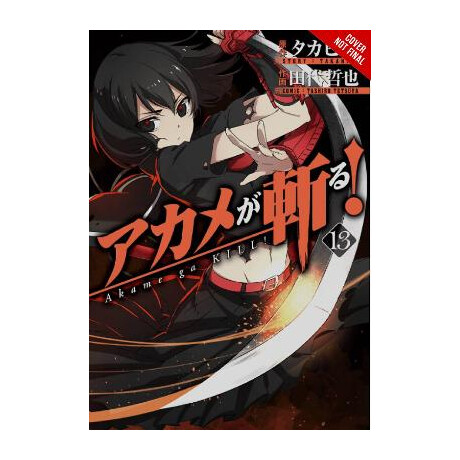 Akame ga Kill!, Vol. 13