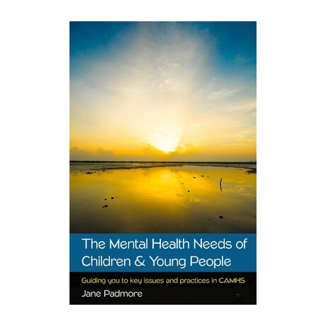 The Mental Health Needs of Children   Young People: Guiding you to key Issues and Practices in Camhs pb