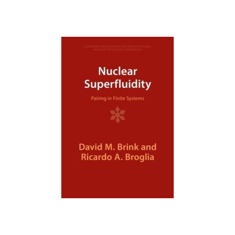 Nuclear Superfluidity
