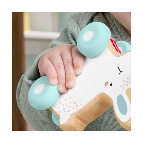 Fisher:price® Ξύλινο Λαγουδάκι (Jdm52)