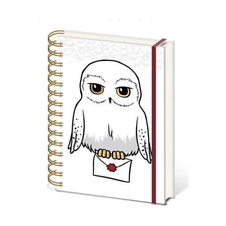 Pyramid: Harry Potter - Special Delivery a5 Wiro Notebook (Sr74526)