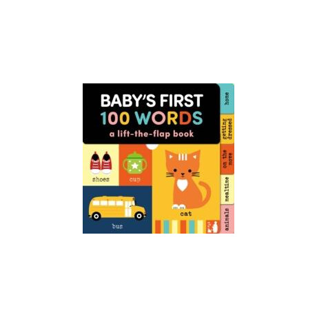 Baby's First 100 Words