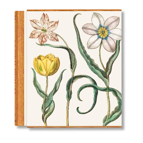 Taschen Clothbound Classics : Basilius Besler. the Garden at Eichstatt hc
