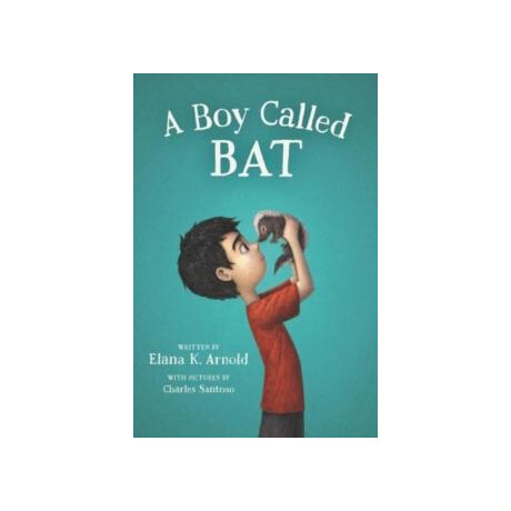 A boy Called bat