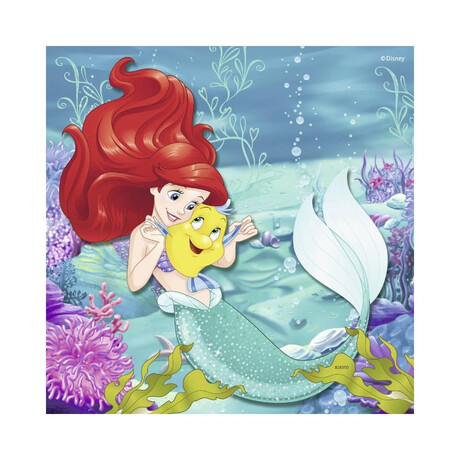 Ravensburger Puzzle: Πριγκίπισσες σε Περιπέτειες (3x49pcs.) (09350)