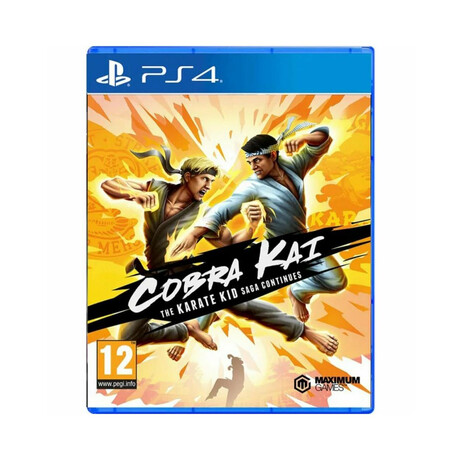 Ps4 Cobra Kai: the Karate kid Saga Continues