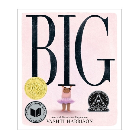 Big (Harrison, Vashti)