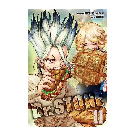 Dr. Stone, Vol. 11 pa