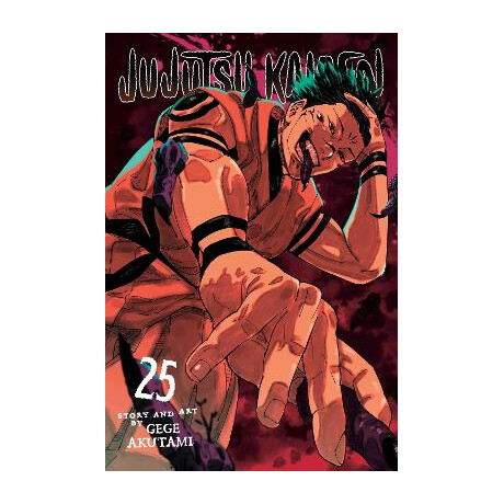 Jujutsu Kaisen: vol 25