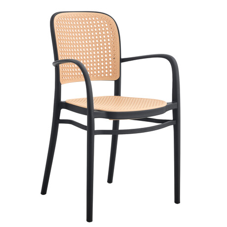 Πολυθρόνα Κήπου ArteLibre CANARY Μαύρο/Μπεζ PP 55x52x86cm