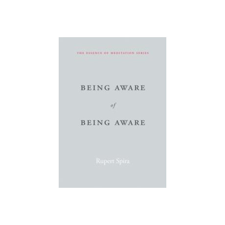 Being Aware of Being Aware