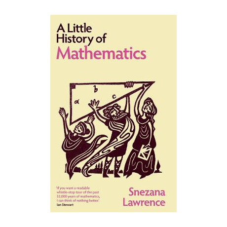 A Little History of Mathematics hc