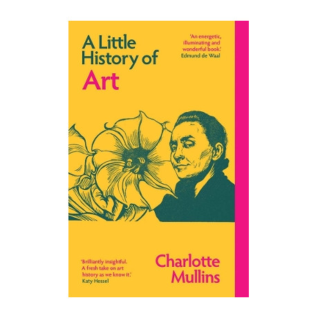 A Little History of art pb
