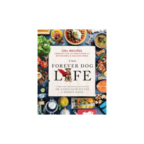 Forever dog Life