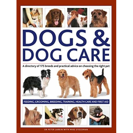 Dogs & dog Care Dogs & dog Care