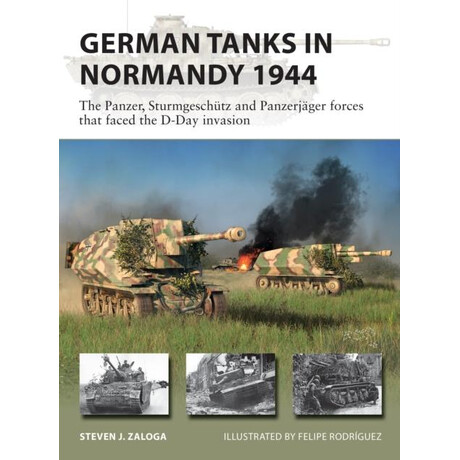 German Tanks in Normandy 1944