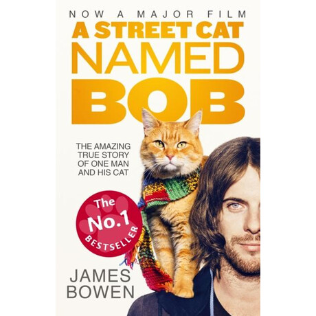 Street cat Named bob