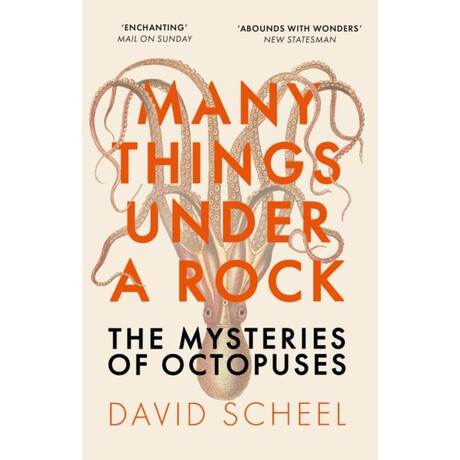 Many Things Under a Rock
