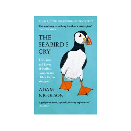 Seabird’s cry