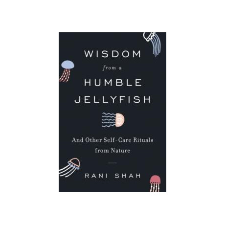 Wisdom From a Humble Jellyfish